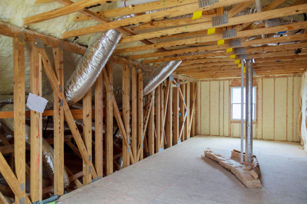 Best Insulation for New Construction  in Combee Settlement, FL