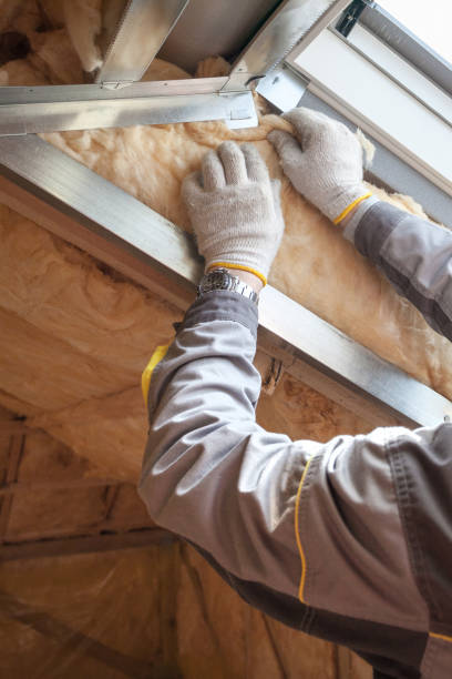 Best Insulation Repair Services  in Combee Settlement, FL
