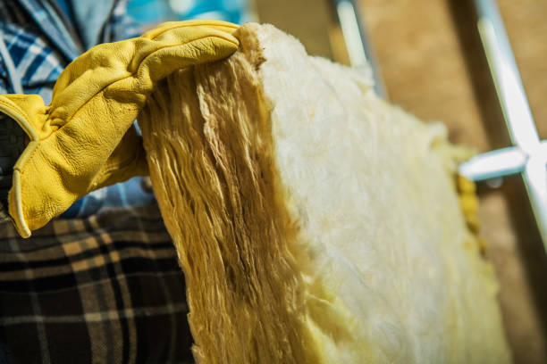 Best Insulation Inspection Services  in Combee Settlement, FL