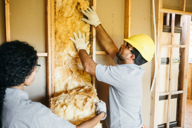 Best Attic Insulation Near Me  in Combee Settlement, FL