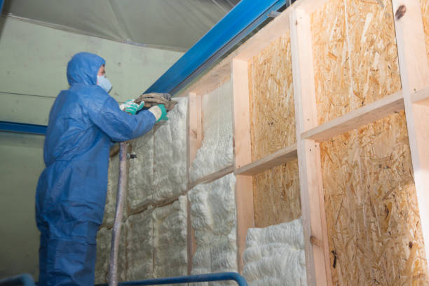 Best Soundproof Insulation Installation  in Combee Settlement, FL