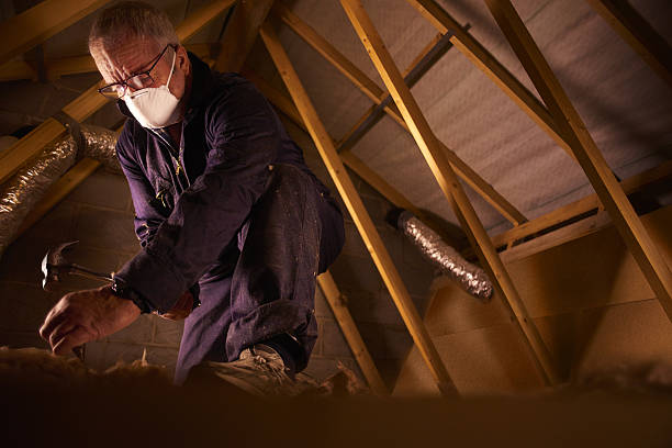 Best Insulation Replacement Services  in Combee Settlement, FL